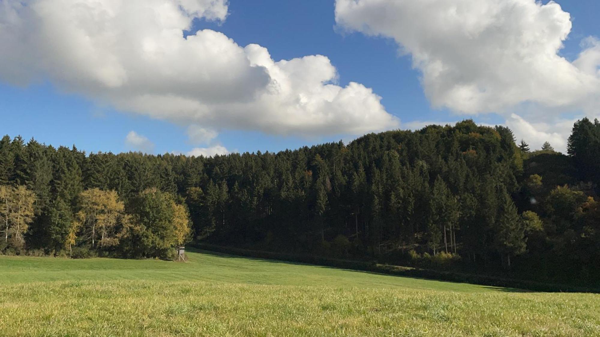Deine-Eifel-Ferienwohnung Feusdorf Экстерьер фото