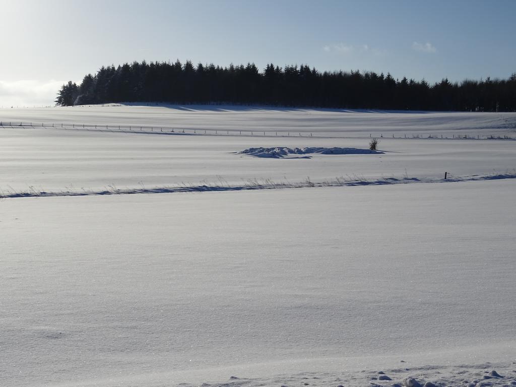 Deine-Eifel-Ferienwohnung Feusdorf Экстерьер фото