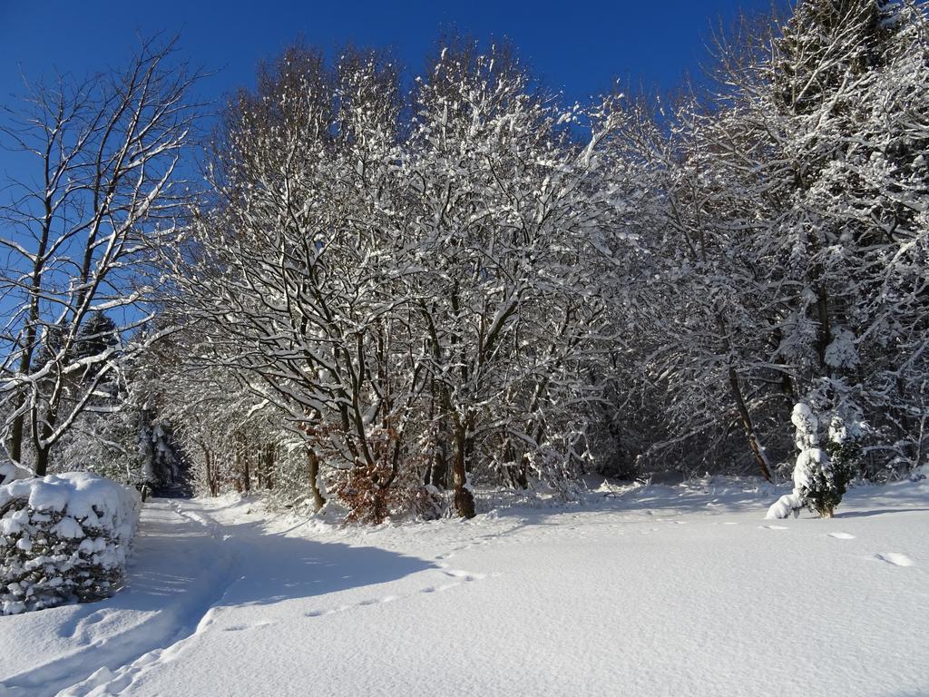 Deine-Eifel-Ferienwohnung Feusdorf Экстерьер фото